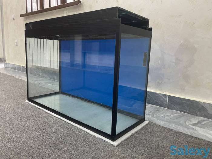 Akvarium, фотография 5