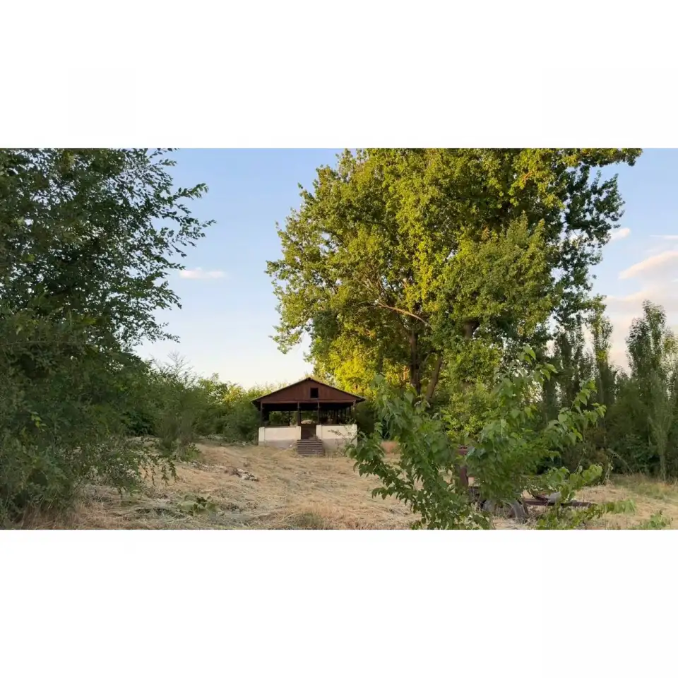 Бывший пионерский лагерь, Краснагорск, фотография 6