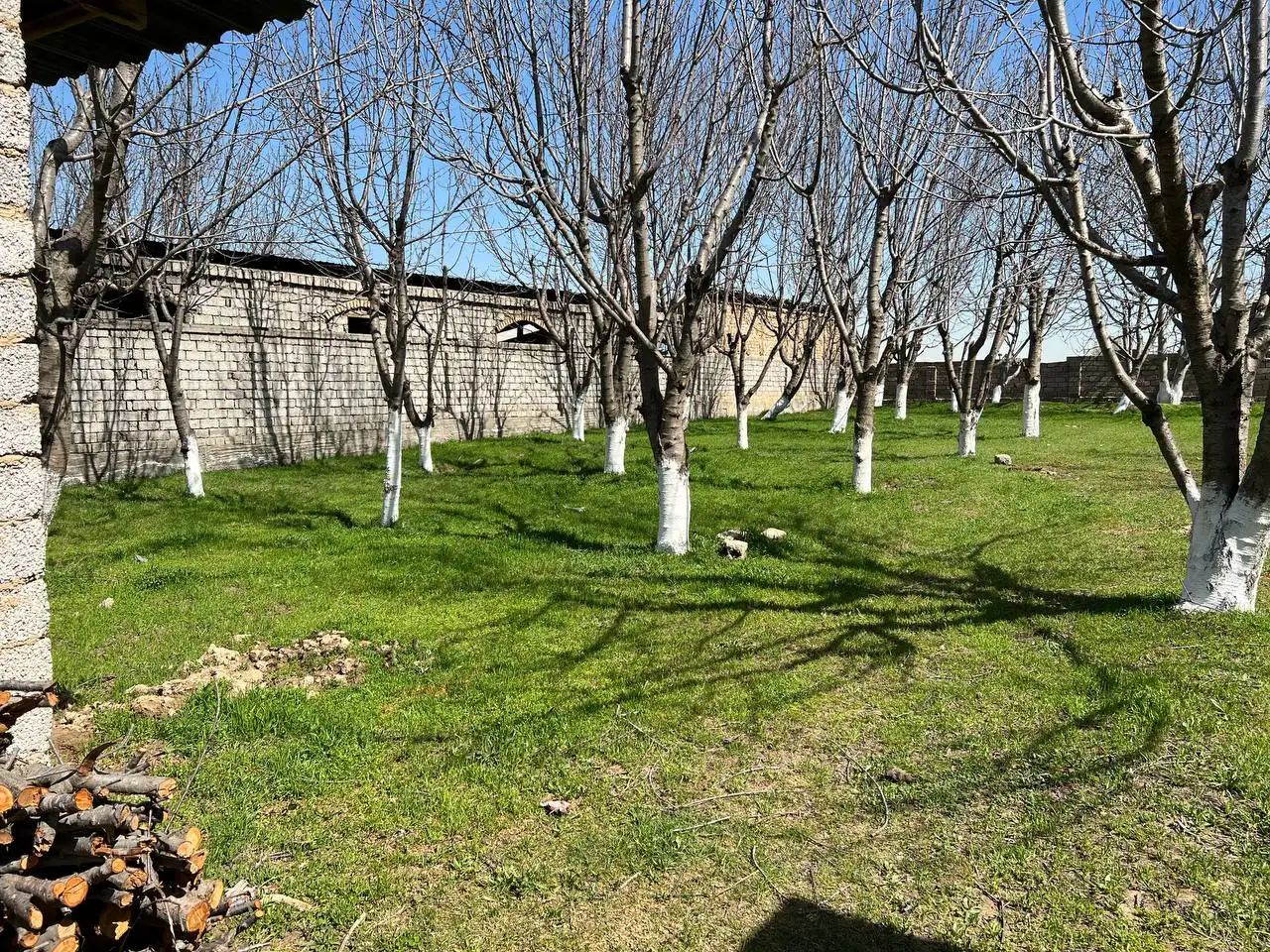 Ер сотилади. 12сотих.Назатбекдан утганда, фотография 1