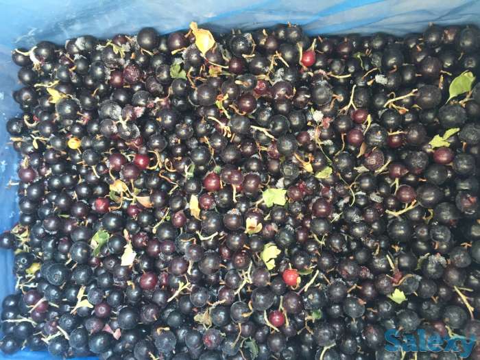 Замороженные фрукты и ягоды, фотография 1