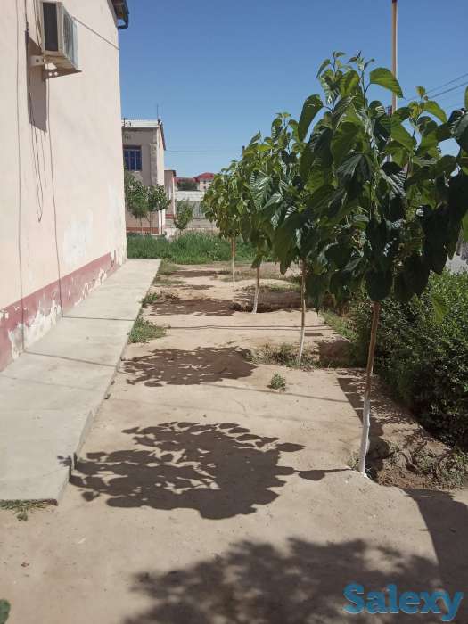 Продается квартира на первом этаже 2х этажного кирпичного дома, фотография 2