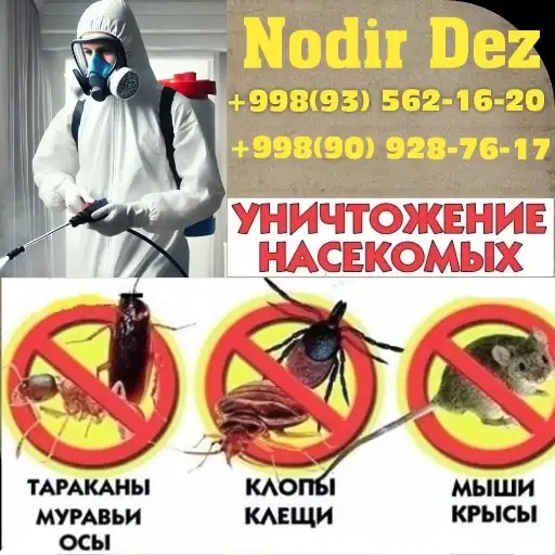 Услуги Дезинфекция, фотография 6