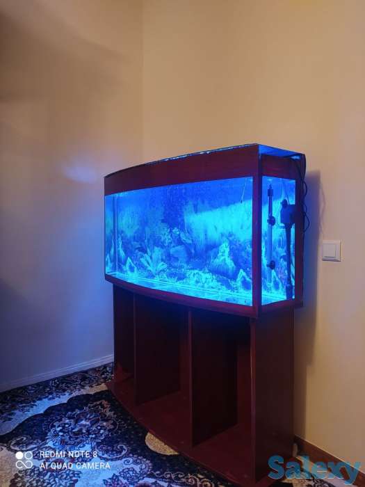 чистка аквариум по доступным ценам, фотография 1