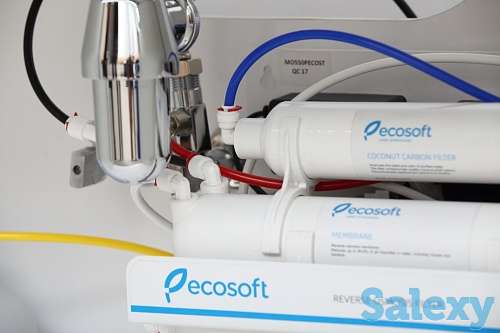 Фильтр для очистки воды Ecosoft Standard с насосом, фотография 4