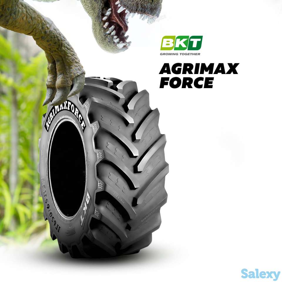 Шины BKT 710/70 R38 AGRIMAX TL, фотография 1