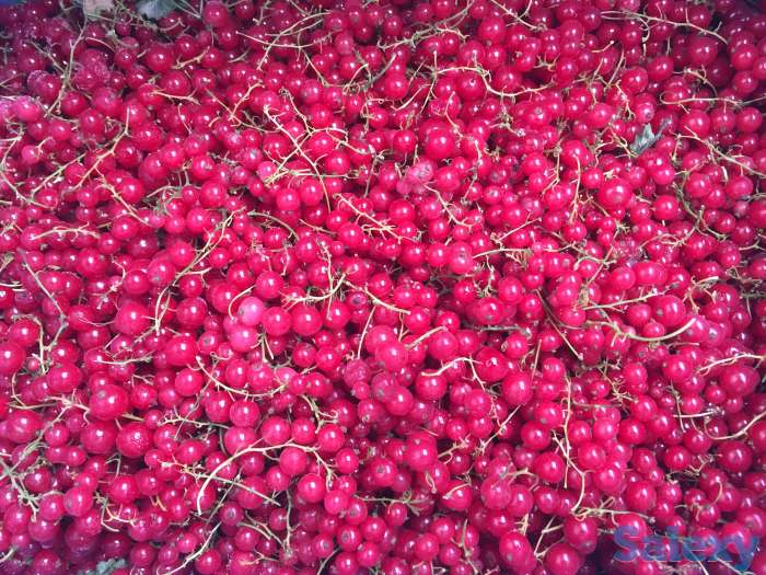 Замороженные фрукты и ягоды, фотография 4