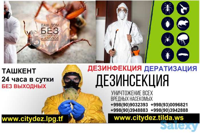 Компания 