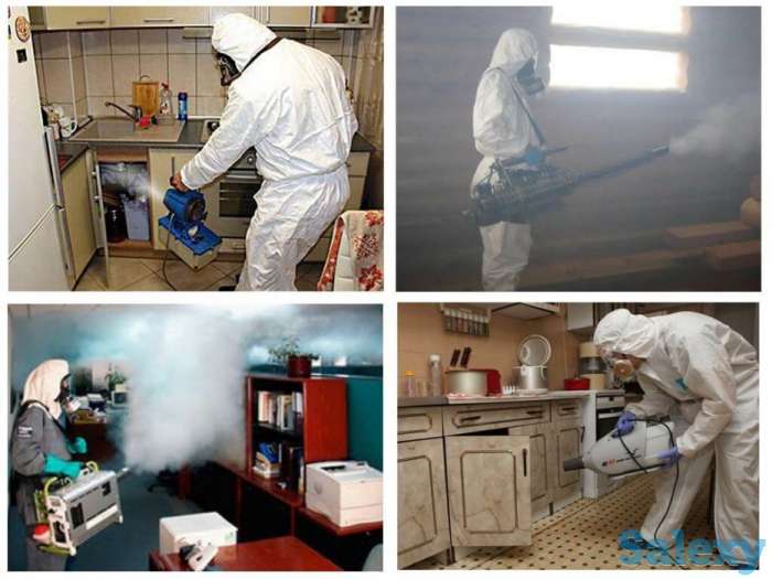 Дезинфекция от клопов и насекомых! Гарантия и Скидки!, фотография 3