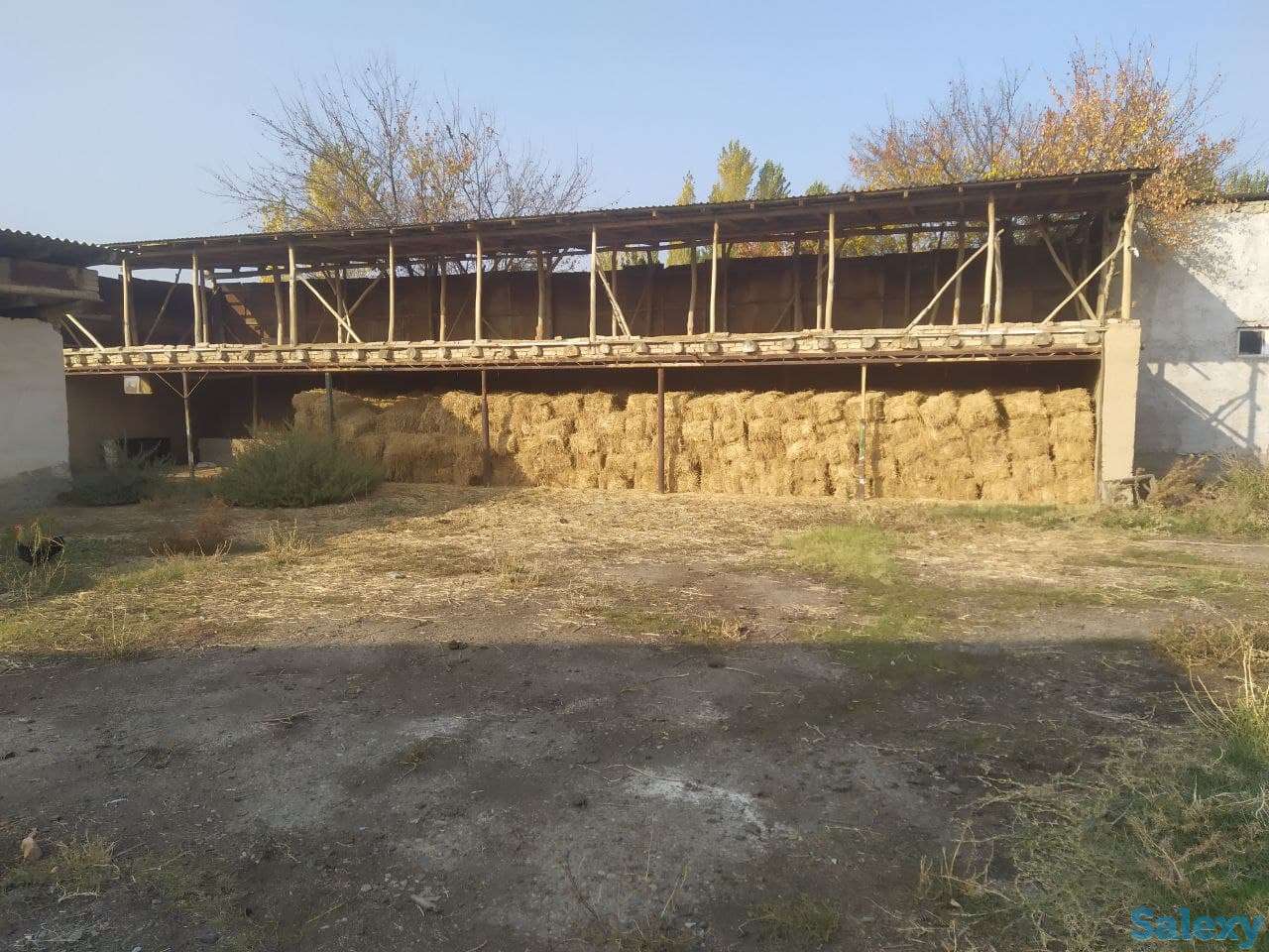 База для сельхоз. или др. бизнеса в Ташобласти, 57 соток. От хозяина, не риелтор., фотография 4