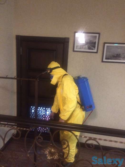 Дезинфекция от насекомых, фотография 3