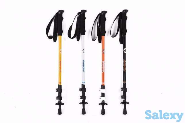 Треккинговые палки, фотография 1