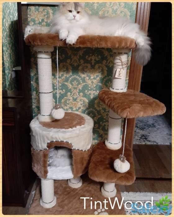 Когтеточка для кошки. Игровой комплекс для кошки. Дом для кошки., фотография 7