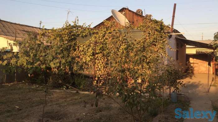 Продам дом, Мирабадский район, за рестораном ЧенСон, фотография 2