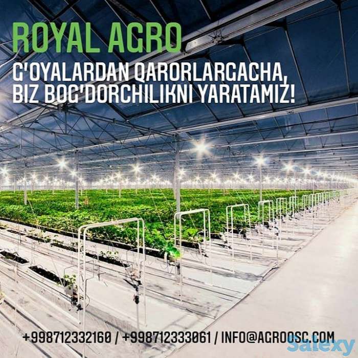 OSC Royal Greenhouses - Строительство Европейских Теплиц 