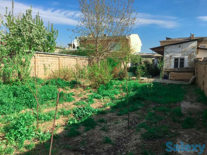 Продам коттедж, НИИ овощеводство и бахчевых культур, фотография 8