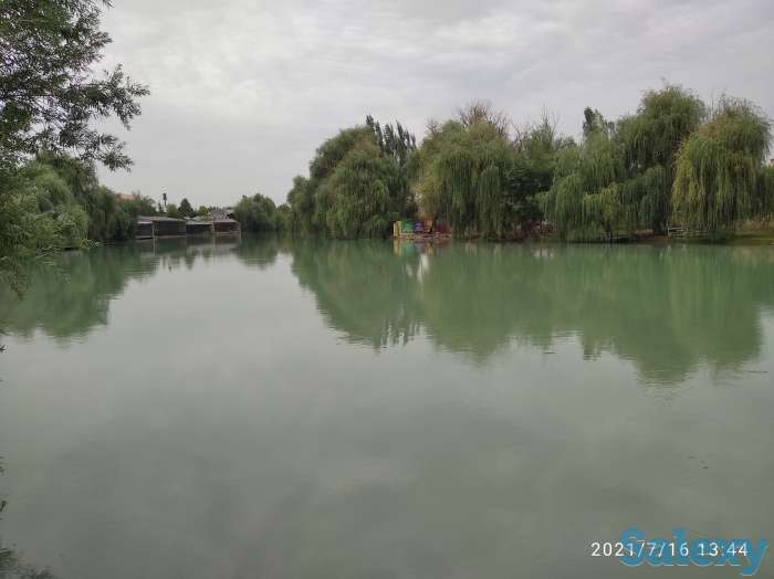 Коттедж практически в Ташкенте, Ташгрэс, фотография 6