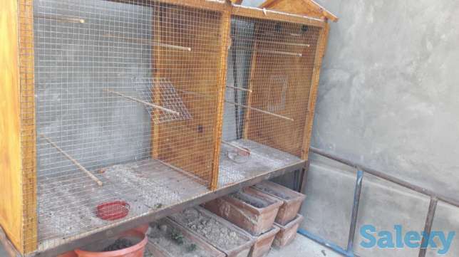 Валер сотилади, фотография 1