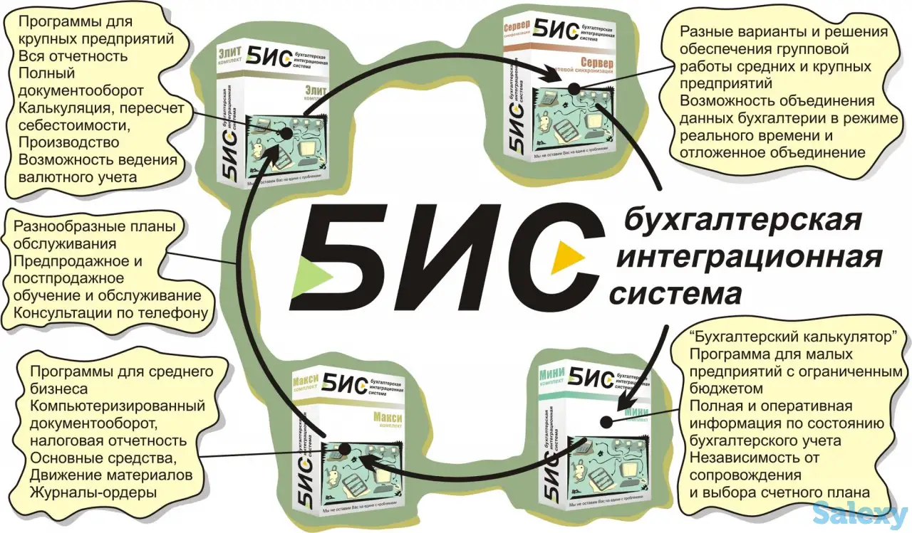 Ведение и восстановление бухучета на базе платформы ПО «БИС», фотография 1