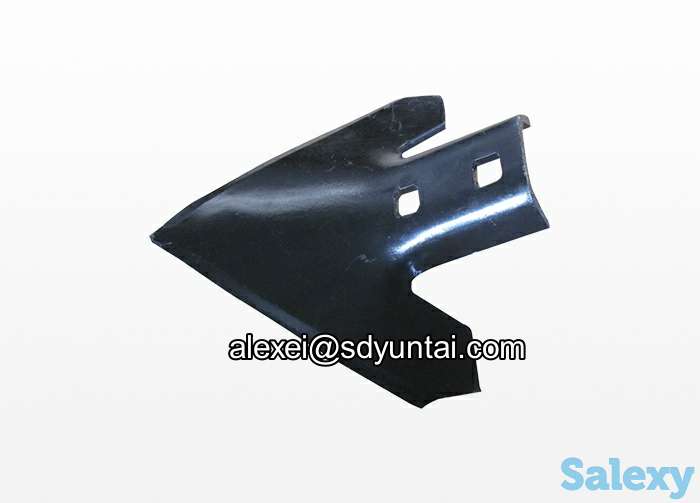 Лапа стрельчатая, фотография 1