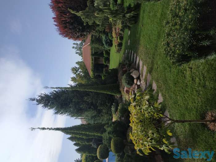 Срочно продам дом, Юнусабад Исломобод махаля Нурзие 35, фотография 6