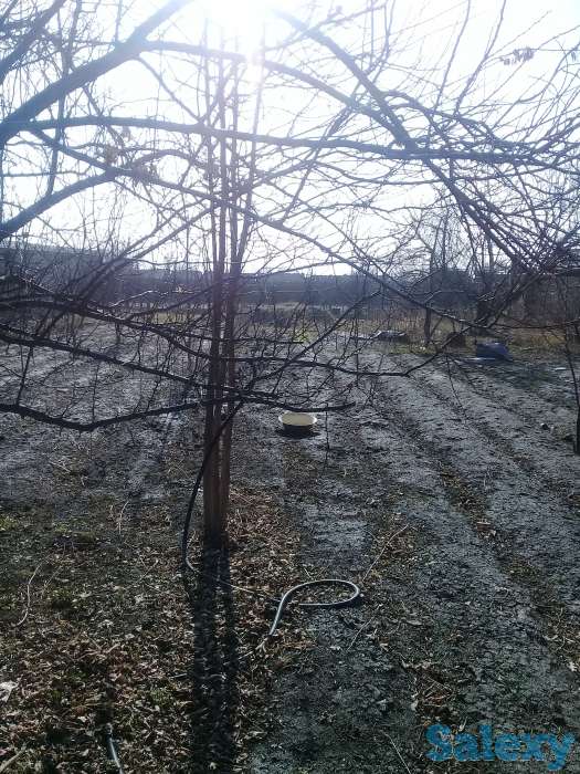 Продается два дома на окраине Чирчика, поселок Азадбаш, фотография 9