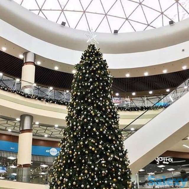 Елки 1 м - 25 м, фотография 1