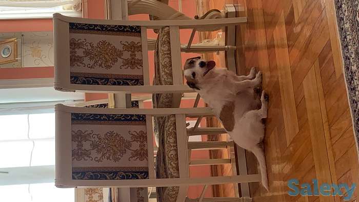 Ищем невесту, фотография 1