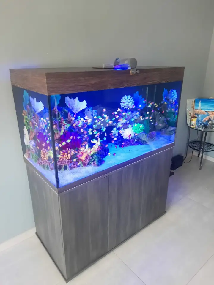 Чистка и обслуживание пресноводных и морских  аквариумов, фотография 1