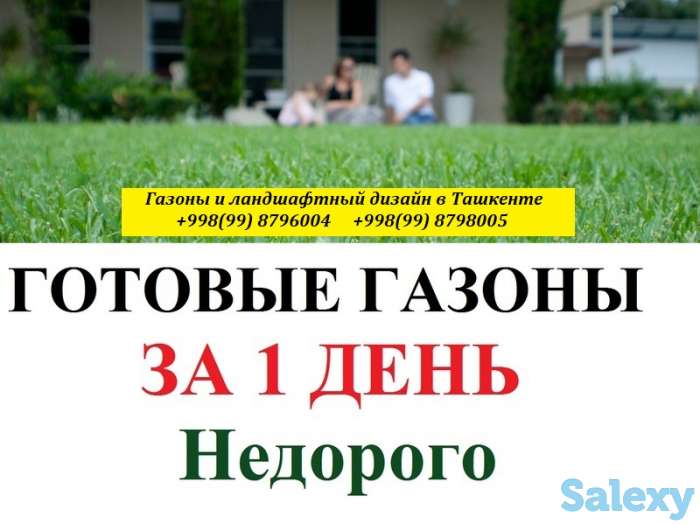 Газоны. Ландшафтный дизайн. Проектирование. Одна из первых компаний в Узбекистане по ландшафтному проектированию и благо, фотография 6