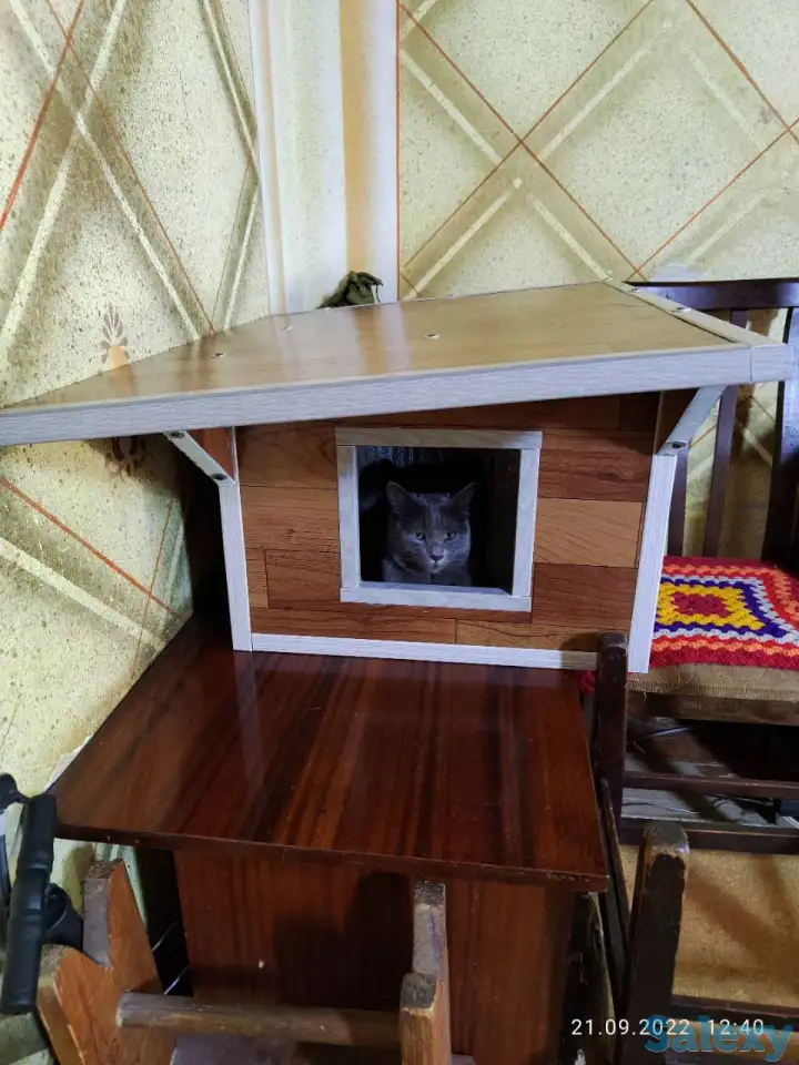 Здравствуйте  хочу  предложить вам домики для кошек. Изготовление и доставка  домиков для кошек любых размеров и форм. У, фотография 3