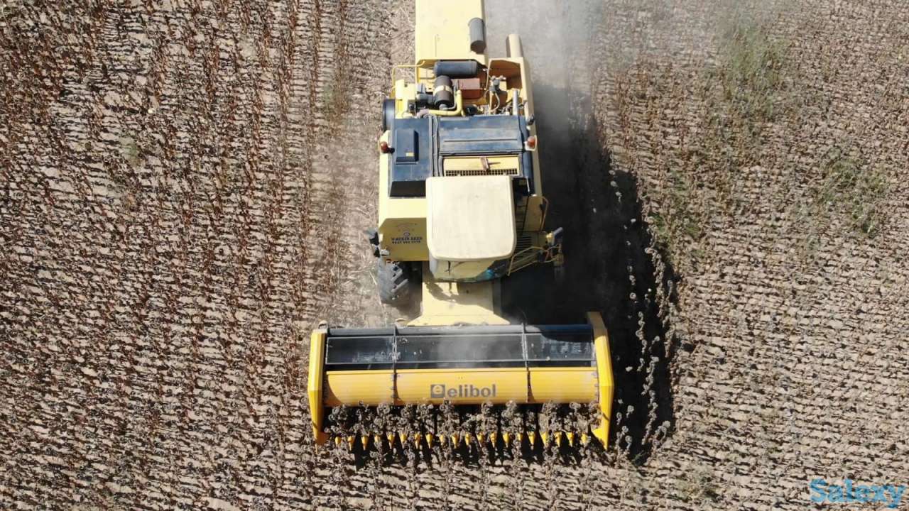 Жатка для уборки подсолнечника Elibol Freesun 550 на комбайн, фотография 4