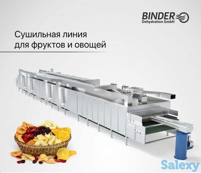 Технология для сушки фруктов и овощей, фотография 1