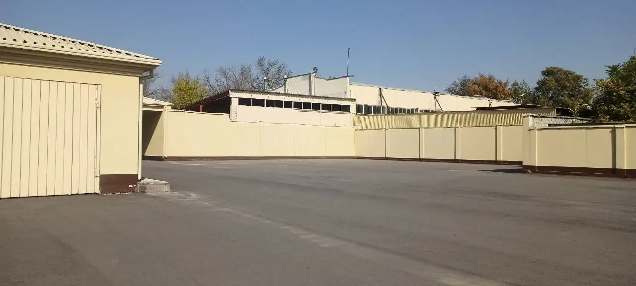 Земельный участок 91 сотка (9 100 кв. м), фотография 3