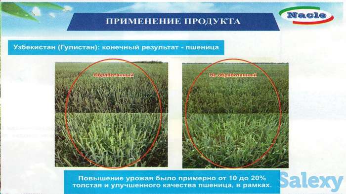Экологически чистое удобрение-Nacle - Удобрения, биостимулятор, фотография 3