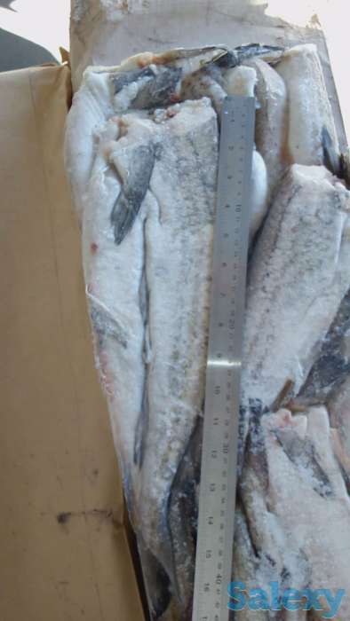 Замороженная рыба оптом минтай, горбуша, навага, сельдь ДЕШЕВО, фотография 1