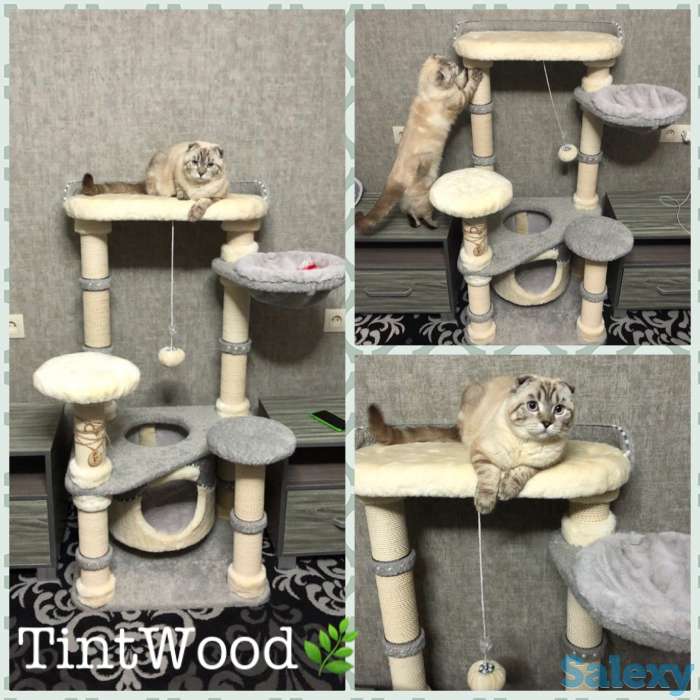 Когтеточка для кошки. Игровой комплекс для кошки. Дом для кошки., фотография 2