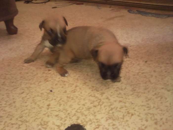 продажа,продаю,продам, фотография 1