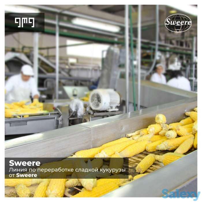 Линия по переработке сладкой кукурузы от Sweere, фотография 1