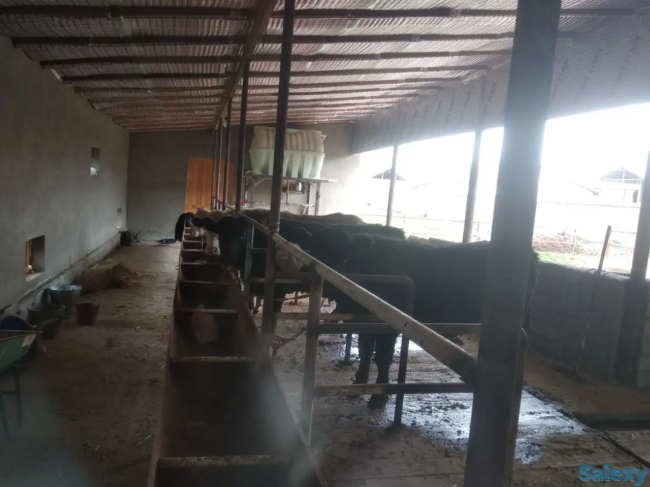 Продажа Ферма Дача, ТашОбл Юкори Чирчик Янги Бозор дахаси, фотография 10