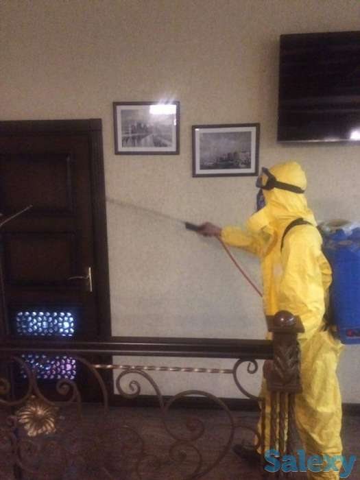 Дезинфекция от насекомых, фотография 9