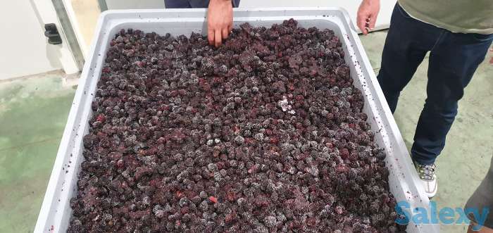 Замороженные овощи и фрукты, фотография 4