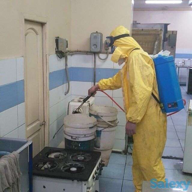 Дезинфекция от насекомых, фотография 11