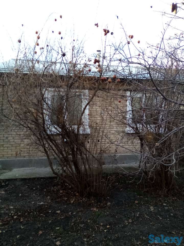 Срочно продаётся дом в поселке Богзор 8 соток, фотография 5