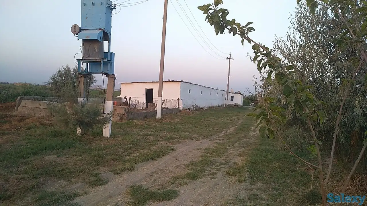 Продается ферма, фотография 2