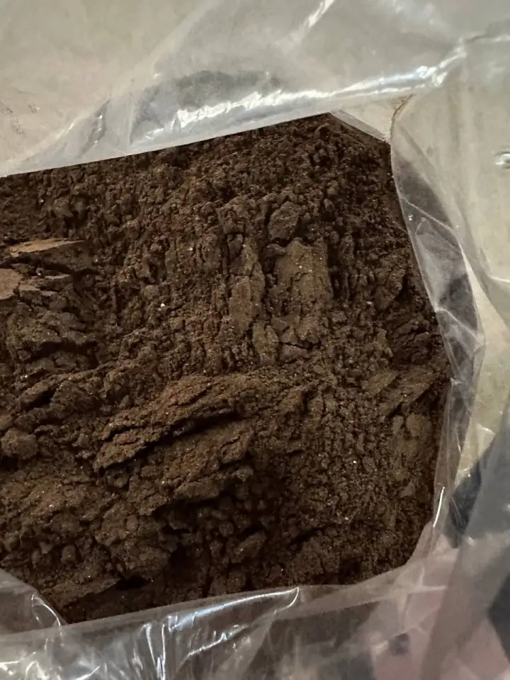 Солод Ржаной, фотография 2