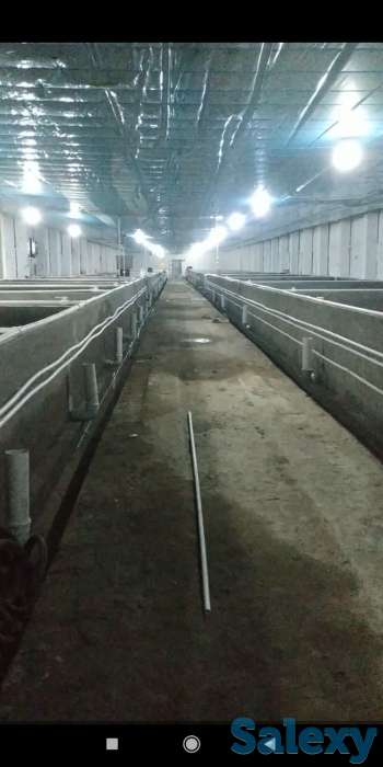 Продаётся рыбное хозяйство, готовый бизнес., фотография 1