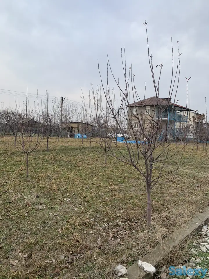 ПРОДАЁТСЯ ДАЧА!, область. Нурафшон(Бывшая туйтепа) Дачи Акмаль Икром, фотография 12