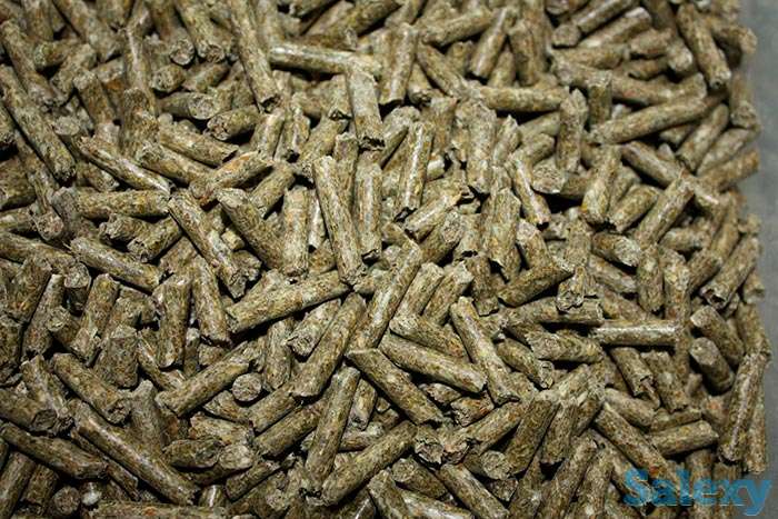 Продаем комбикорм, кроликов и мясо кролика, фотография 1