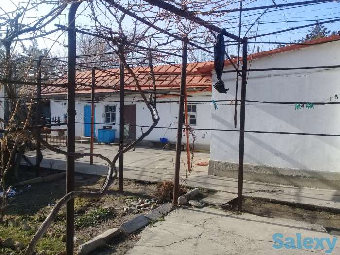 Продается два дома на окраине Чирчика, поселок Азадбаш, фотография 7