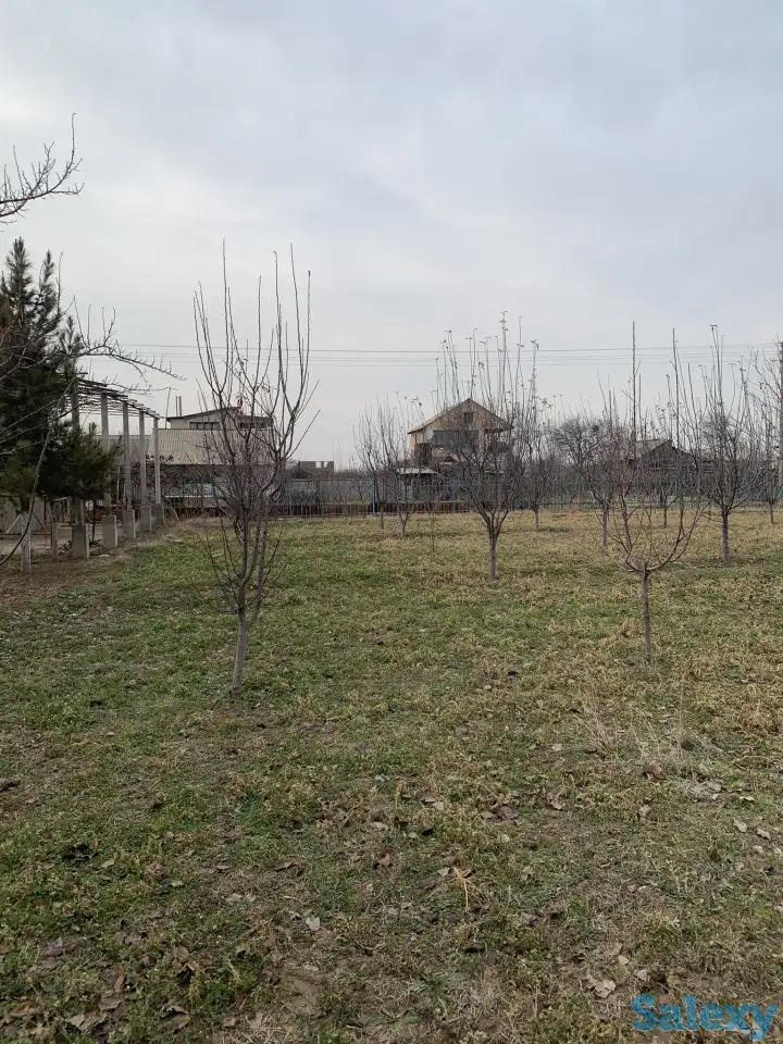 ПРОДАЁТСЯ ДАЧА!, область. Нурафшон(Бывшая туйтепа) Дачи Акмаль Икром, фотография 10